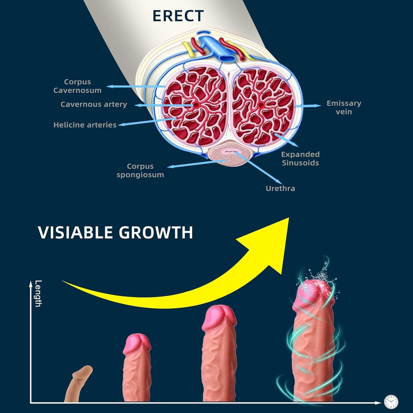 Manual Vacuum Penis Pump Extender - Vixen