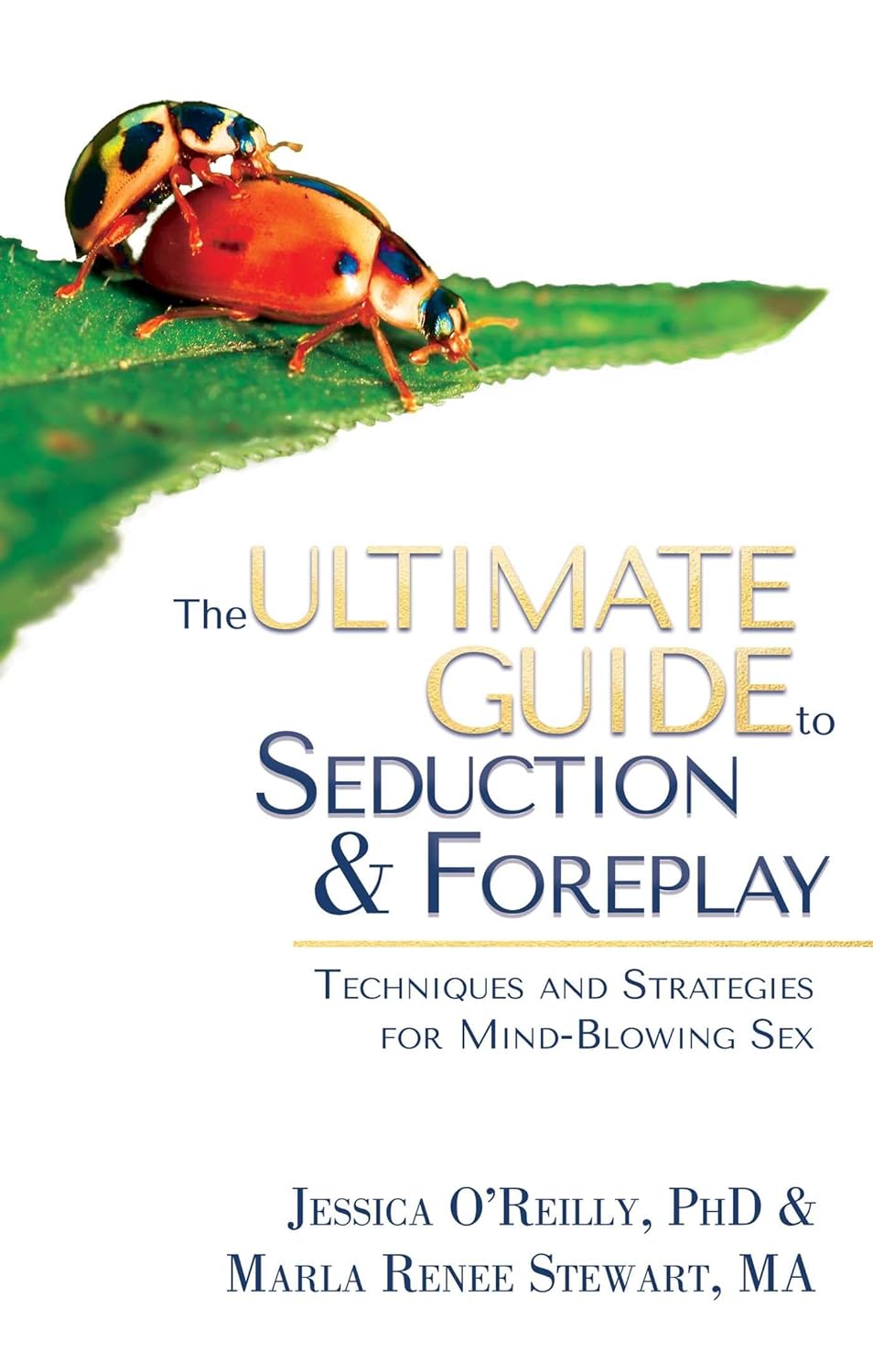 The Ultimate Guide to Seduction & Foreplay - Vixen